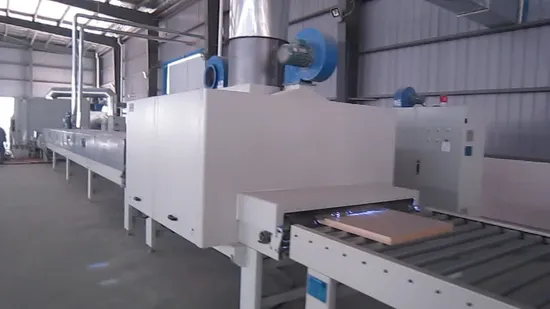 Senza formaldeide e porta in WPC di alta qualità (YM